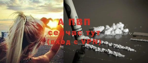 бошки Грязовец