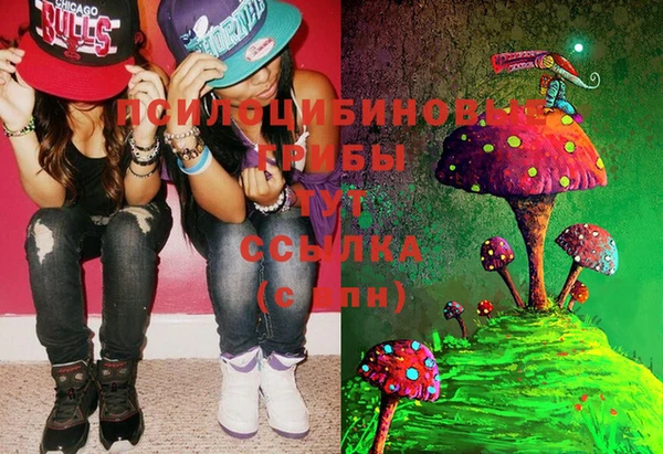 экстази Пестово